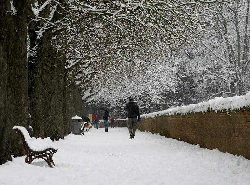 Neve sulle Mura di Lucca di Giorgio Lucca