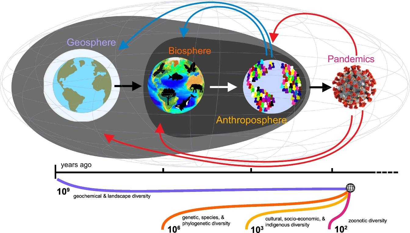 Diagram, schematic

Description automatically generated