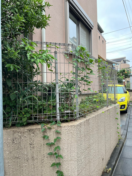 スイフトスポーツの雨の中草取り・びしょ濡れ泥まみれ・丸亀製麺久々です・ウォーキング🚶‍♀️結構久々です👍・宅飲み最高だね👍に関するカスタム事例の投稿画像3枚目