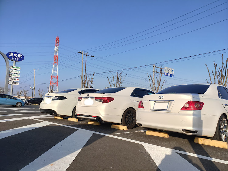 フーガの千人画廊🖼・冬晴れ暖かい☀・やっちゃえNISSAN🏃・相方登場😁・ホワイトセダン３台🚗🚗🚗に関するカスタム事例の投稿画像6枚目