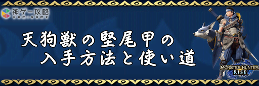 天狗獣の堅尾甲