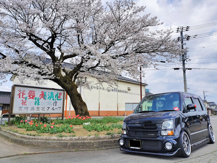 ワゴンRの富山県・桜シーズン開幕・サクラと愛車・桜と愛車・4月もよろしくお願い致します🌸に関するカスタム事例の投稿画像4枚目