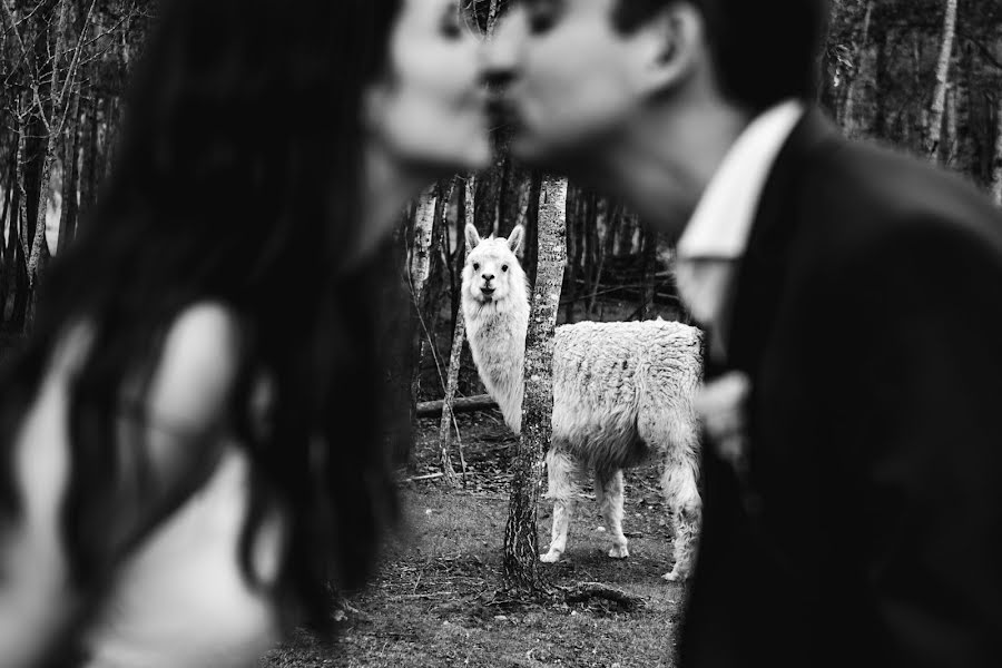 Photographe de mariage Emily Senyk (stardust). Photo du 27 juillet 2019