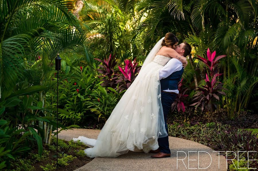 Wedding photographer Amy Moedt (amymoedt). Photo of 9 May 2019