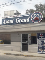 Avant Grand Veterinaria