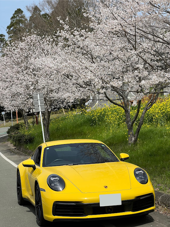 911 クーペの桜シーズン開幕に関するカスタム事例の投稿画像1枚目