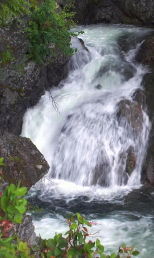 Beautiful forest waterfall