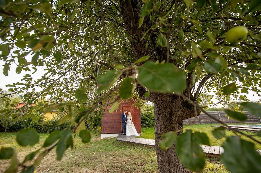 Fotógrafo de bodas Aleksey Butchak (oleksa). Foto del 16 de septiembre 2015