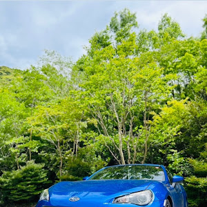 BRZ ZC6