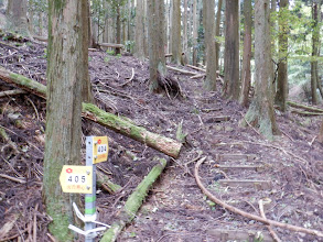 谷沿いの登り口に到着