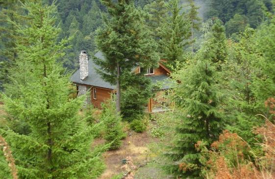 A house in the middle of a forest

Description automatically generated with medium confidence