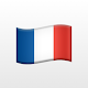 Magic French — Learn French fast Download on Windows