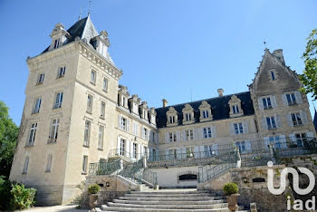 château à Blet (18)