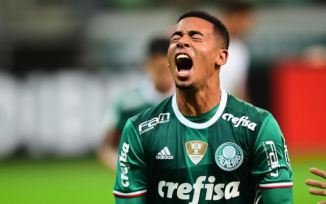 SE Palmeiras Tab