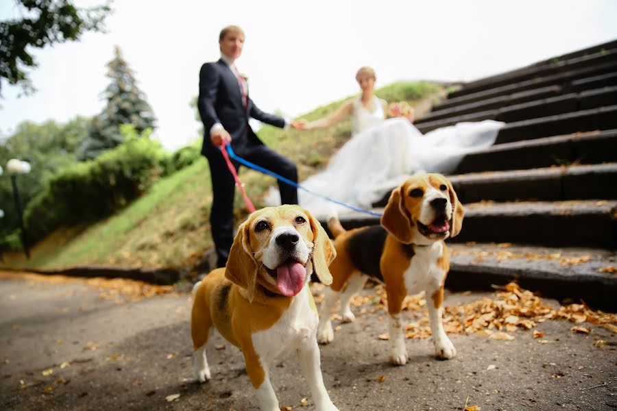 Fotógrafo de bodas Andrey Voronov (bora21). Foto del 13 de febrero 2016