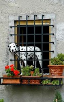 Cute Dogs Puzzle Screenshot