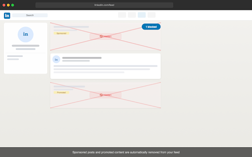 LinkedIn Filter – Hide Ads & Noise in Feed screenshot 1