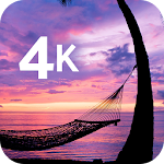 Cover Image of Descargar Tropical wallpapers 07.01.2019-2-tropics APK