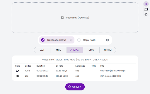 Video Converter
