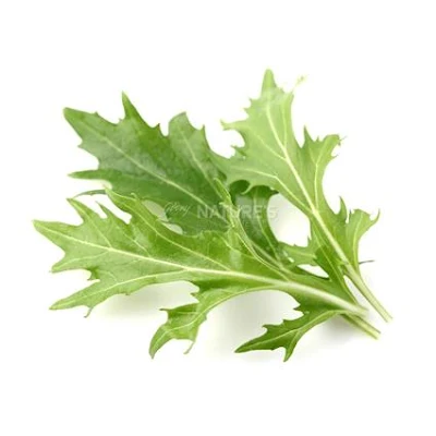 Lettuce Arugula - Exotic - 1 kg