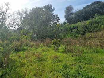 terrain à Sainte-Maxime (83)