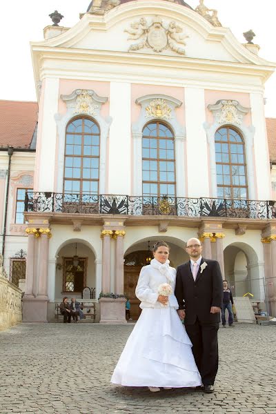 Wedding photographer Zsolt Miseta (bestphoto4u). Photo of 13 February 2016