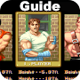 Download  Guide for Final Fight 1 
