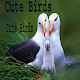 Download Cute Birds For PC Windows and Mac 1.0