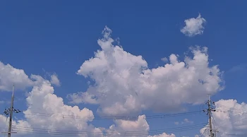 夏祭りで狐と出会いました