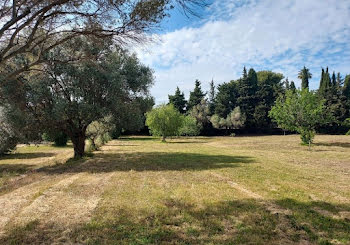 maison neuve à Sanary-sur-Mer (83)