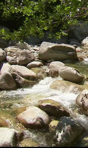 Stormy brook and sun