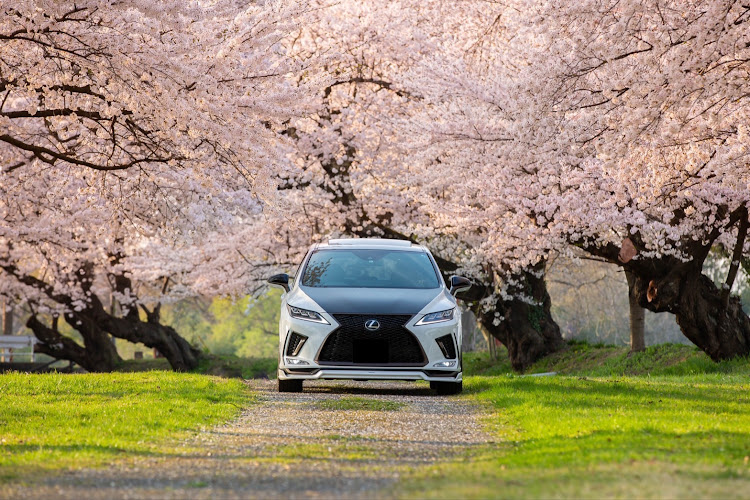 RXの桜・桜とコラボ・サクラと愛車・PickUpチャレンジ・ピックアップチャレンジに関するカスタム事例の投稿画像2枚目