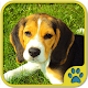 Download Proper dog training For PC Windows and Mac 1.0