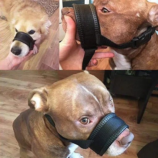 Soft Nylon Dog Muzzle Anti Barking Training Pet Mouth Mask Harness for Small Large Dogs Prevent from Biting, Adjustable 
