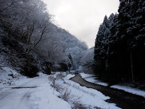 ここまで雪は少なく