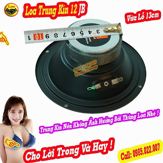 Loa Trung 12, Loa Mid 12 Jb Đường Kính 14.5Cm - Giá 1 Chiếc Loa Trung 14Cm