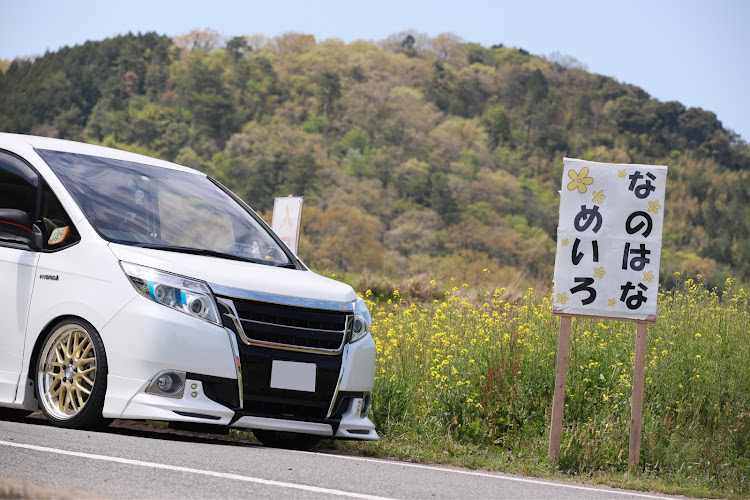 ノアの菜の花・菜の花と愛車に関するカスタム事例の投稿画像5枚目