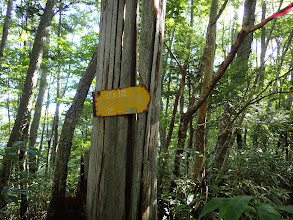 山頂まで2.?km・・・(1291m地点)