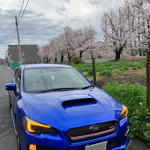 WRX STI VAB