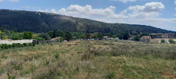 terrain à Bize-Minervois (11)