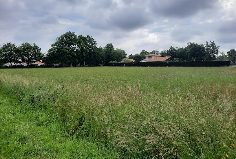  Vente Terrain à bâtir - 528m² à Brach (33480) 