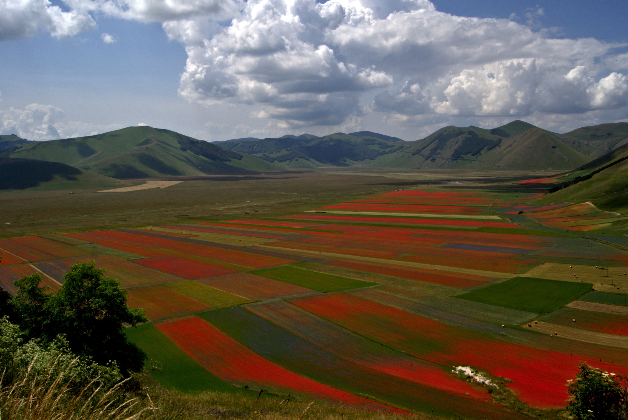 agricoltori o artisti di ruggeri alessandro