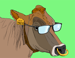 Cow #79610