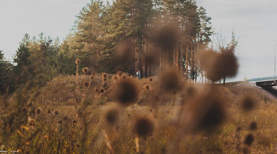 Fotografer pernikahan Aleksey Kuzmin (net-nika). Foto tanggal 28 September 2014