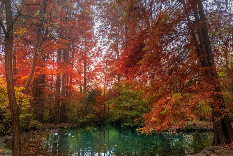 Autunno a colori di gnuc