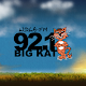 Download WDLA 92.1 Big Kat - Oneonta Country Radio For PC Windows and Mac 1.8.2