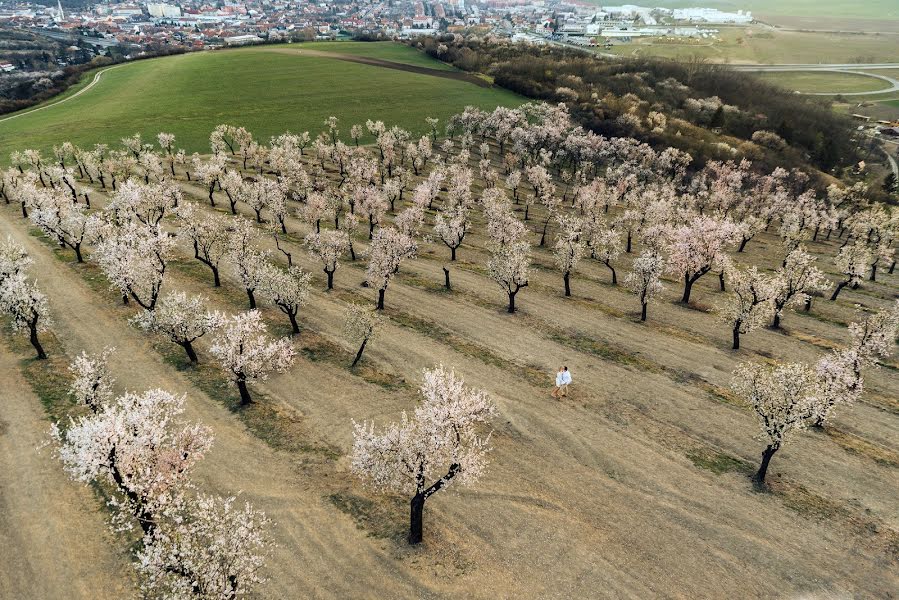 Düğün fotoğrafçısı Petr Hrubes (harymarwell). 7 Nisan 2019 fotoları