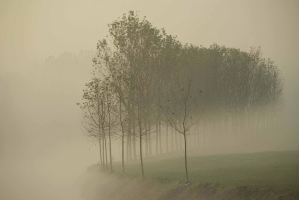 atmosfere autunnali di antonioromei