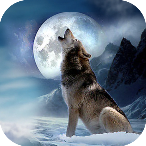Wolf Quest Simulator game 動作 App LOGO-APP開箱王