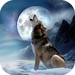 Cover Image of Télécharger Wolf Quest Simulator game 1.4 APK